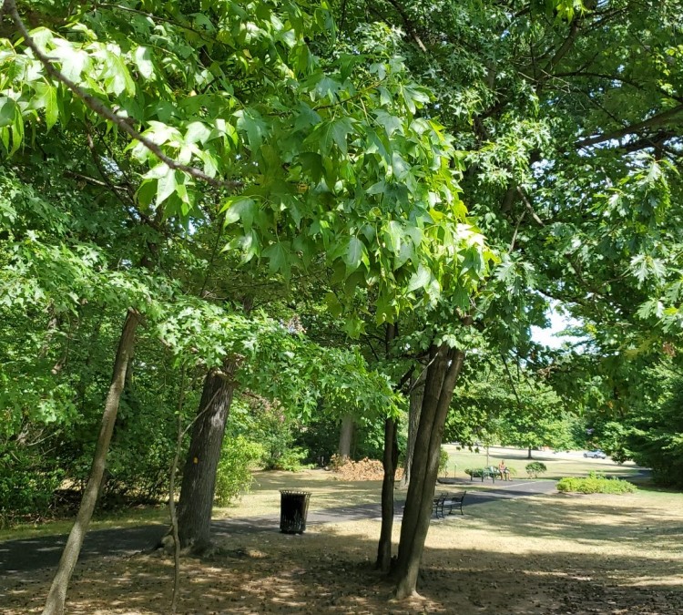 Branch Brook Park (Walking park) (Newark,&nbspNJ)